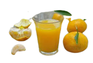 SUCCO MANDARINO GR.500X24 SIMONE GATTO