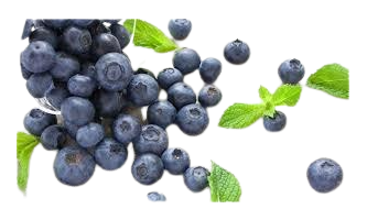 MIRTILLI SELVATICI KG.2,5X2