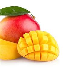 MANGO ALPHONSO PUREE SURG. KG.1