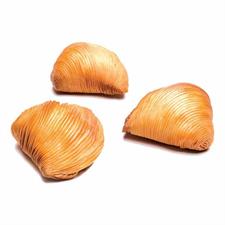 SFOGLIATELLA RICCIA MICRO GR.25 KG.6